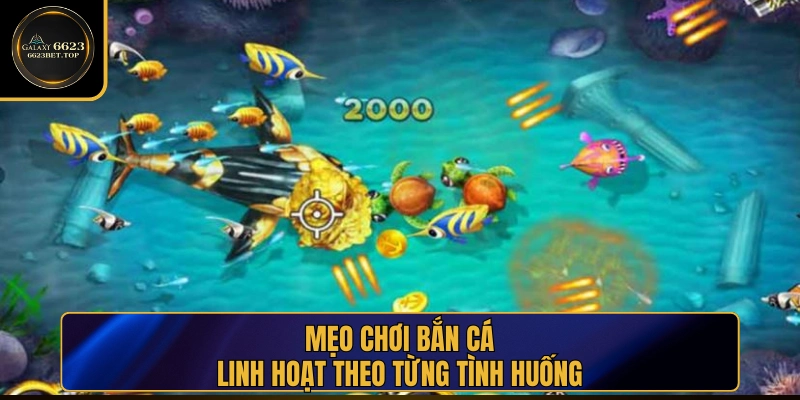 Mẹo chơi bắn cá cho từng tình huống trong game