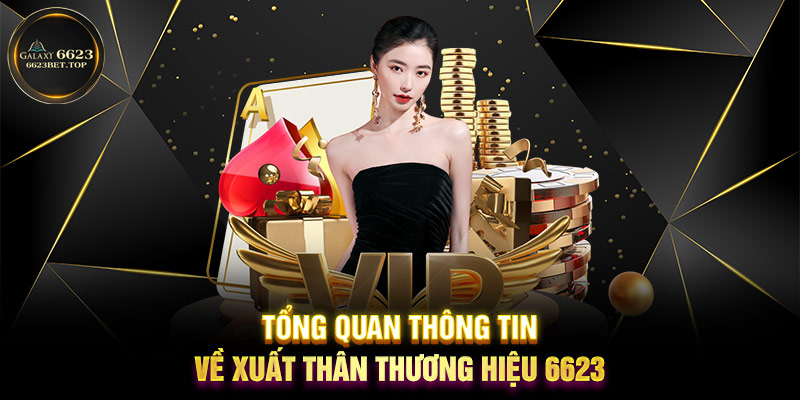 Tổng quan thông tin về xuất thân thương hiệu 6623